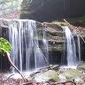 Meet your Posher, Nathan